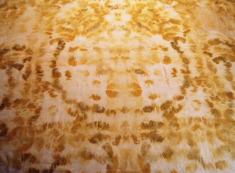 2תירבות ושליטה