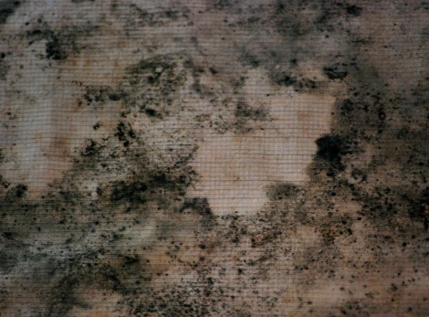 זמן וזיכרון