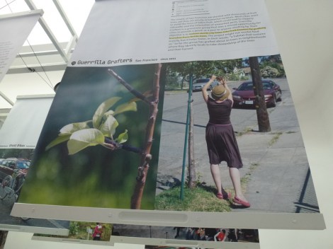 בביתן הצרפתי