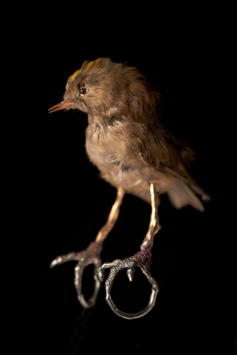 Epoch 1 ring by Noemi Klein