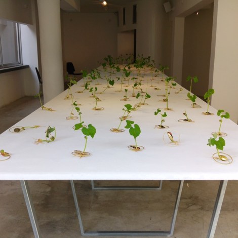 12 December gallery 2